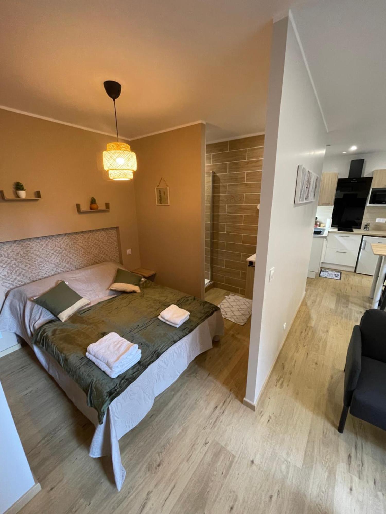 Au 35 Apartman Millau Kültér fotó